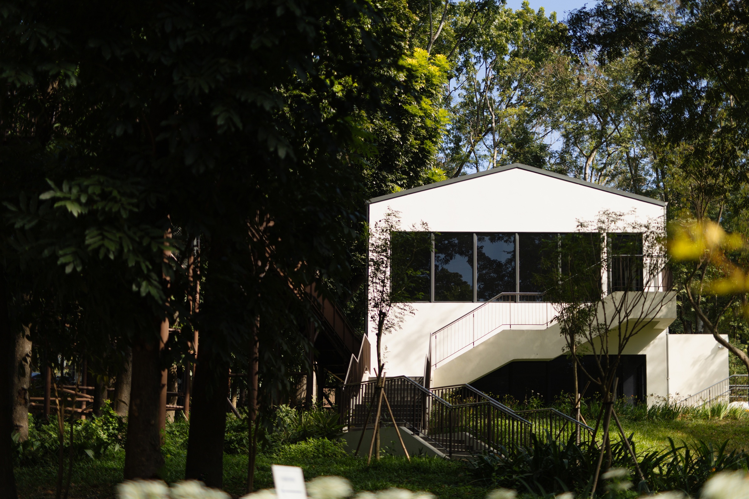 Lavender forset Jiujiufeng  ,3/9 soft opening